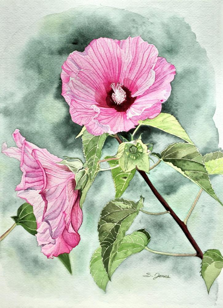 Rose of Sharon